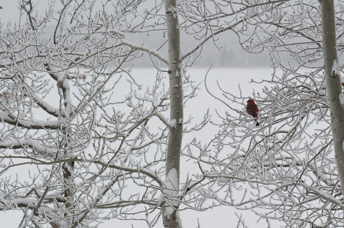 September 2009 to March 2010-4527