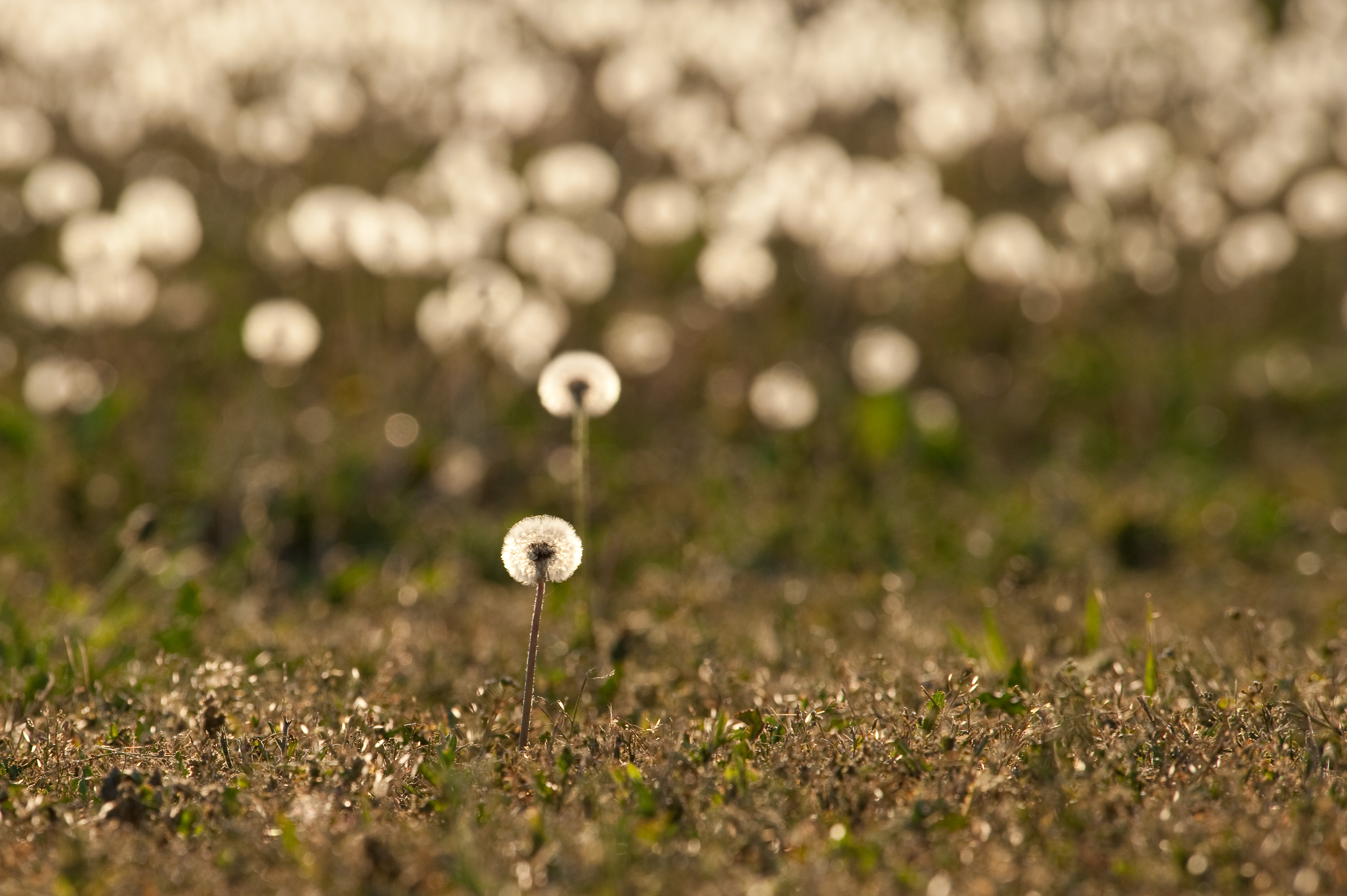 September 2009 to March 2010-7