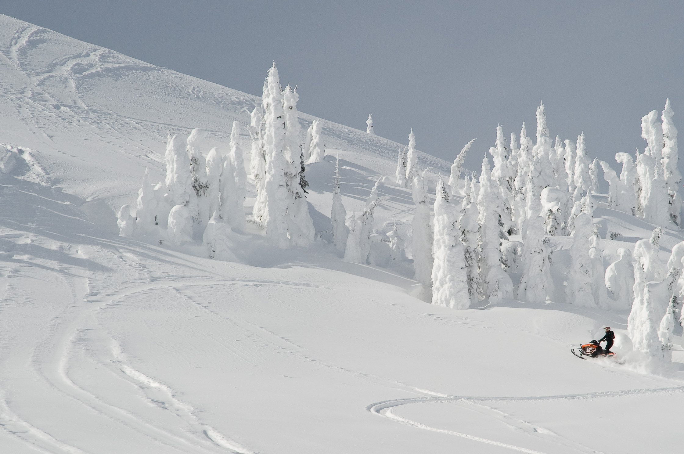 September 2009 to March 2010-76