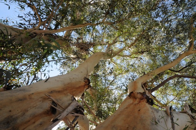 A0A2E5F9-CAAD-47C9-9046-6CD5826F3C51